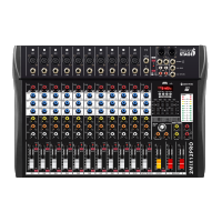 PROEL 2MIX12PRO 12Chanel Mixer With Effects And Media Player