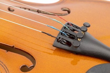 Violin Tail Piece