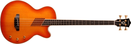 Washburn Acoustic/Electric Series AB40VSK Acoustic-Electric Bass