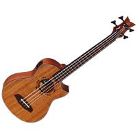 Acoustic Bass Lizard Series Lizzy- Pro 