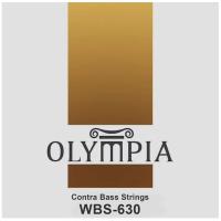 Olympia Double Bass String Set WBS630
