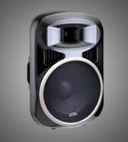 PS Passive speaker PS0215