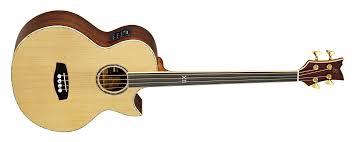 Ortega  Fretless 4-String Acoustic Bass 
