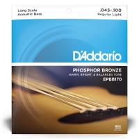 D'Addario Regular Light Long Scale Acoustic Bass Strings EPBB170